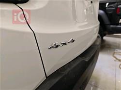 جيب رينيجيد